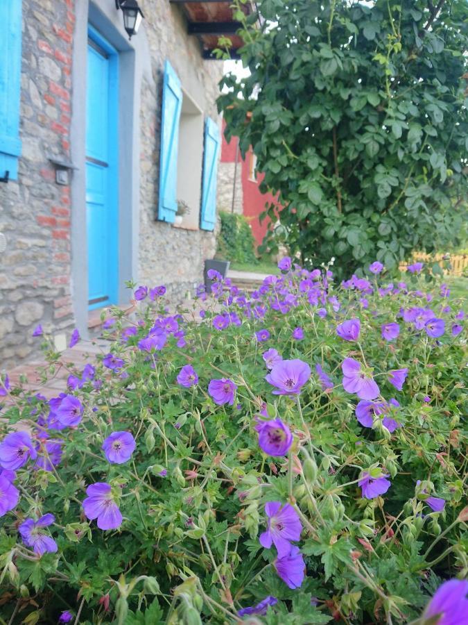 B&B La Casa Dei Cuori Millesimo Eksteriør billede